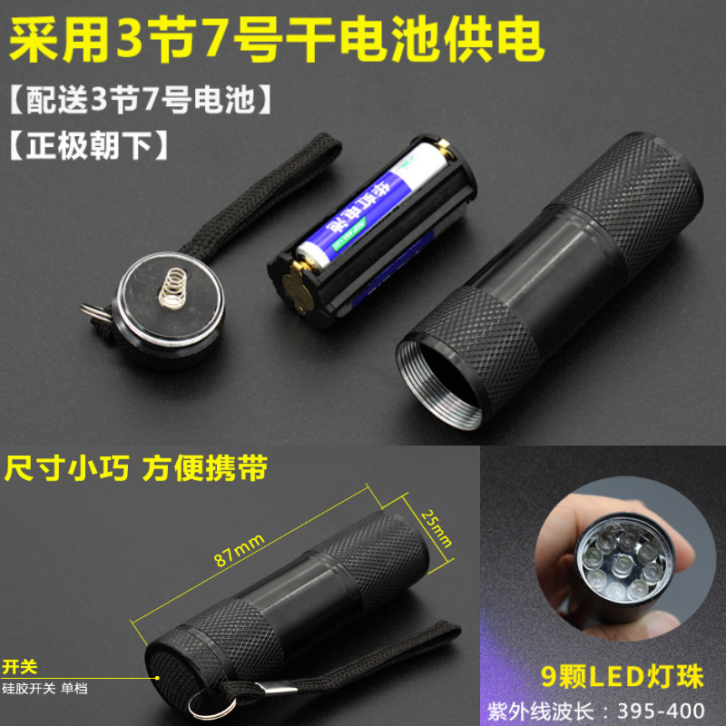 手电筒UV灯